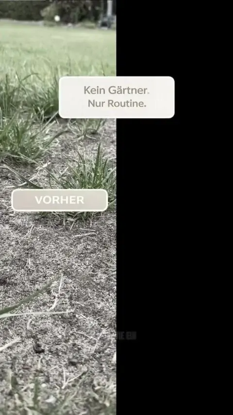 GREENYP